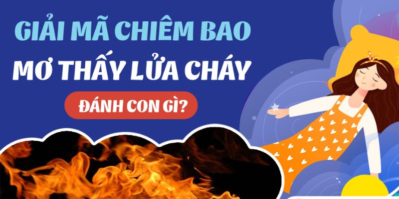 Những con số được cho là may mắn khi liên quan đến giấc mơ